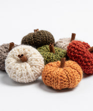 Load image into Gallery viewer, Fall Minis KAL
