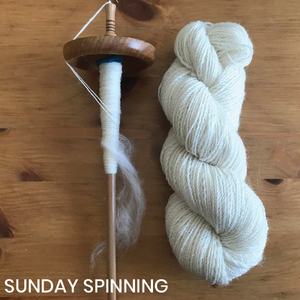 RSVP for Sunday Spinning (November 3rd)