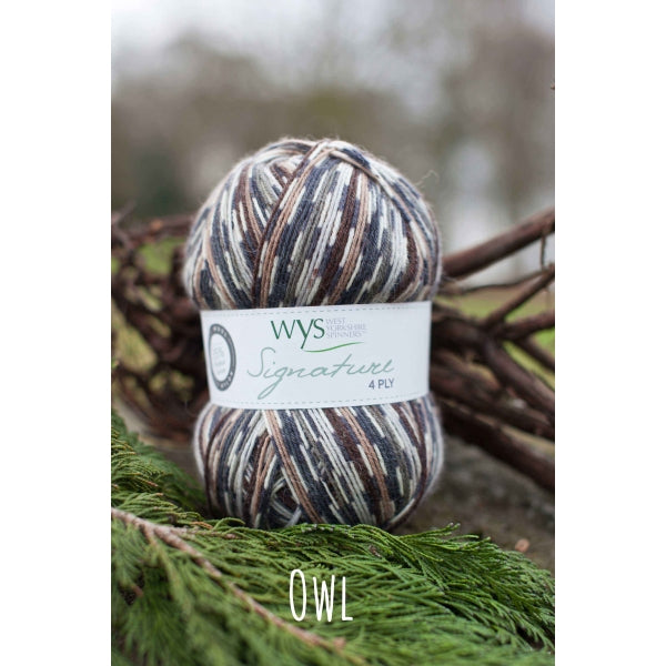 West Yorkshire Spinners Signature 4-Ply Country Birds Sock Yarn
